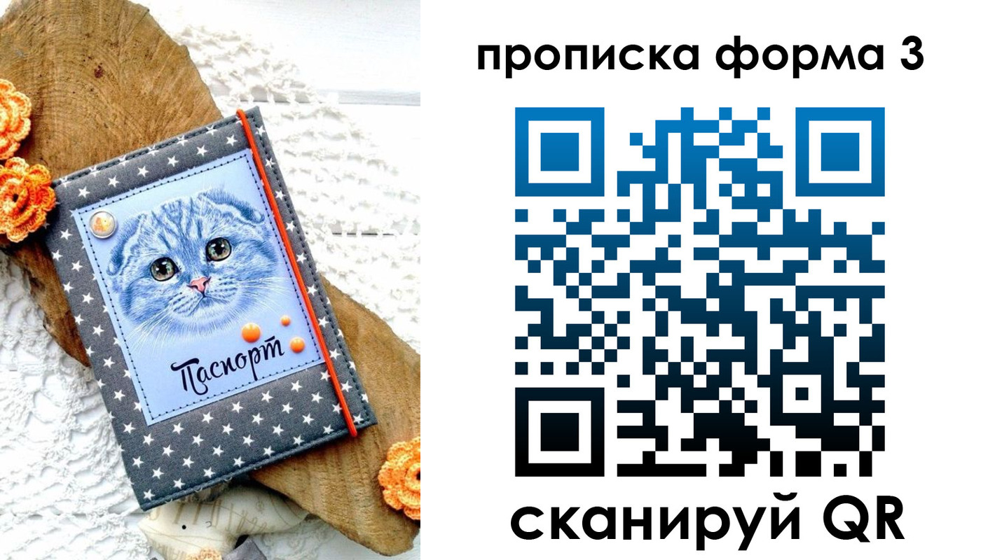 временная регистрация собственник в Райчихинске